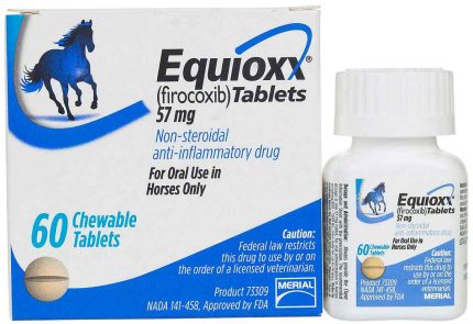 Buy Equioxx for horses