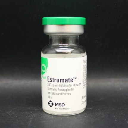 Buy Estrumate for horses