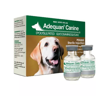 Buy Adequan Canine