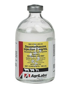 Buy Dexamethasone For Horses