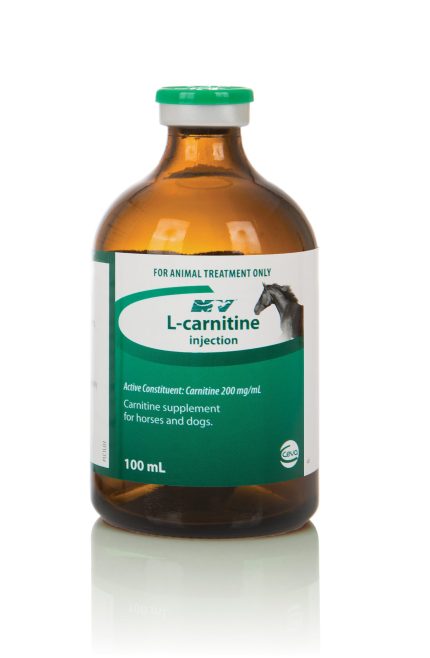 Buy L-carnitine injection