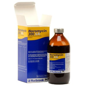 Buy Noromycin