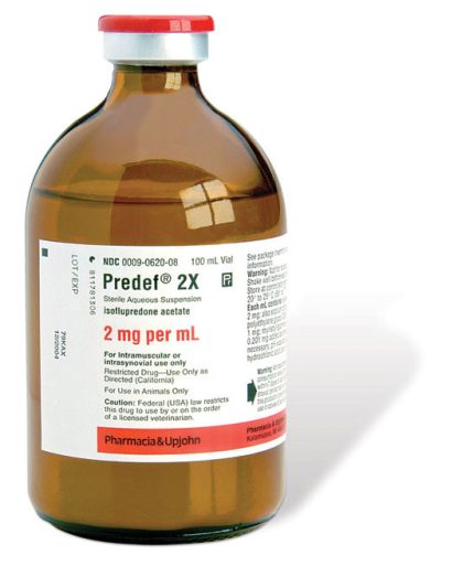 Buy Predef 2X